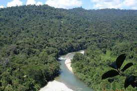 Parque Nacional Podocarpus